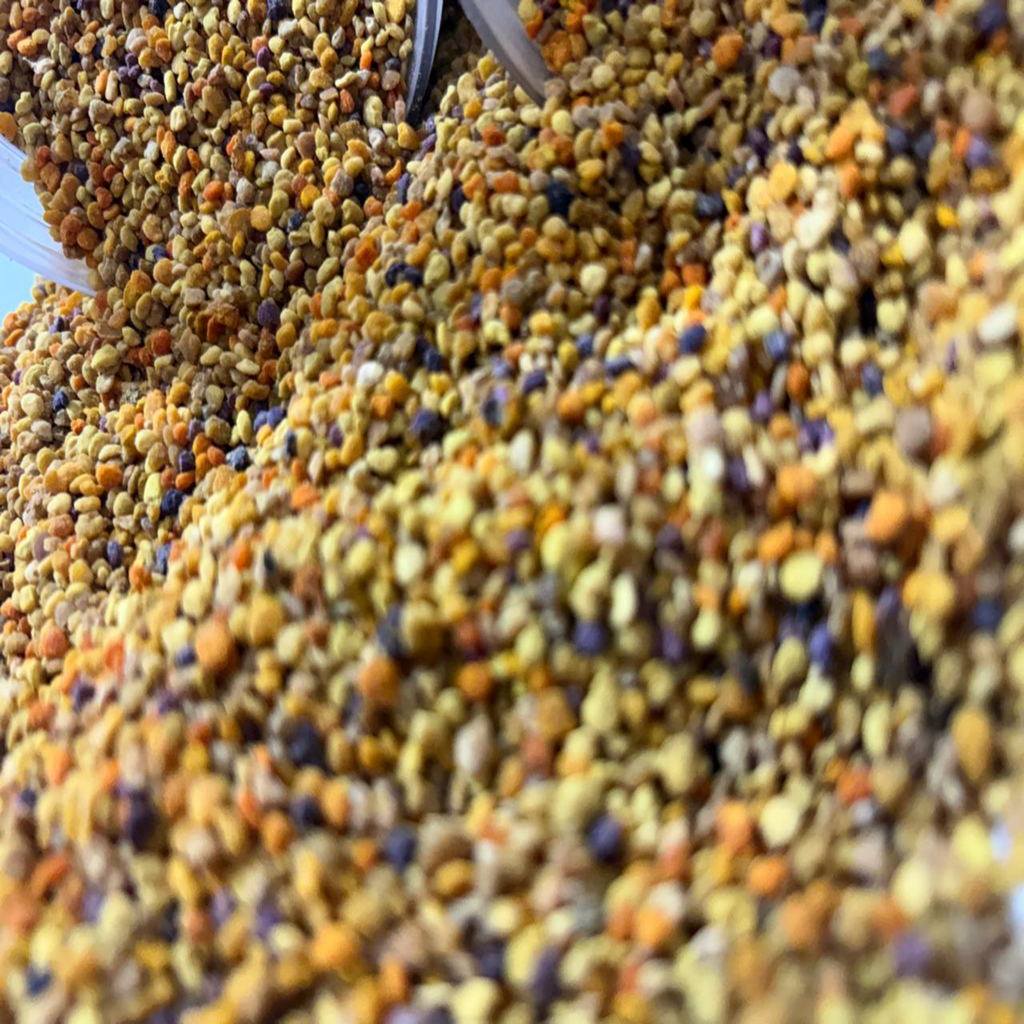 Pollen حبوب اللقاح