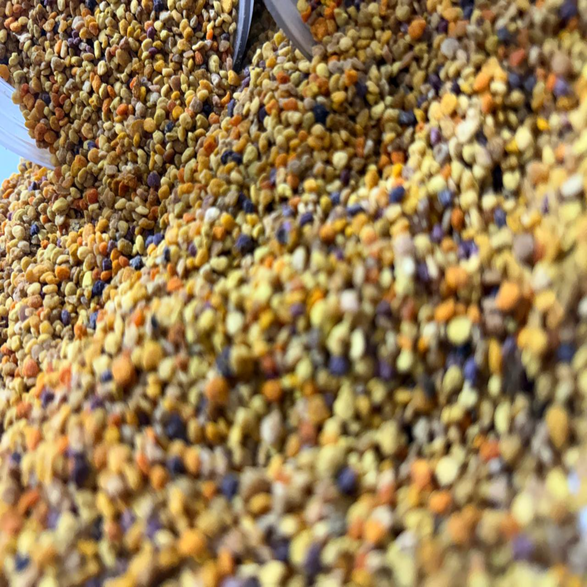Pollen حبوب اللقاح