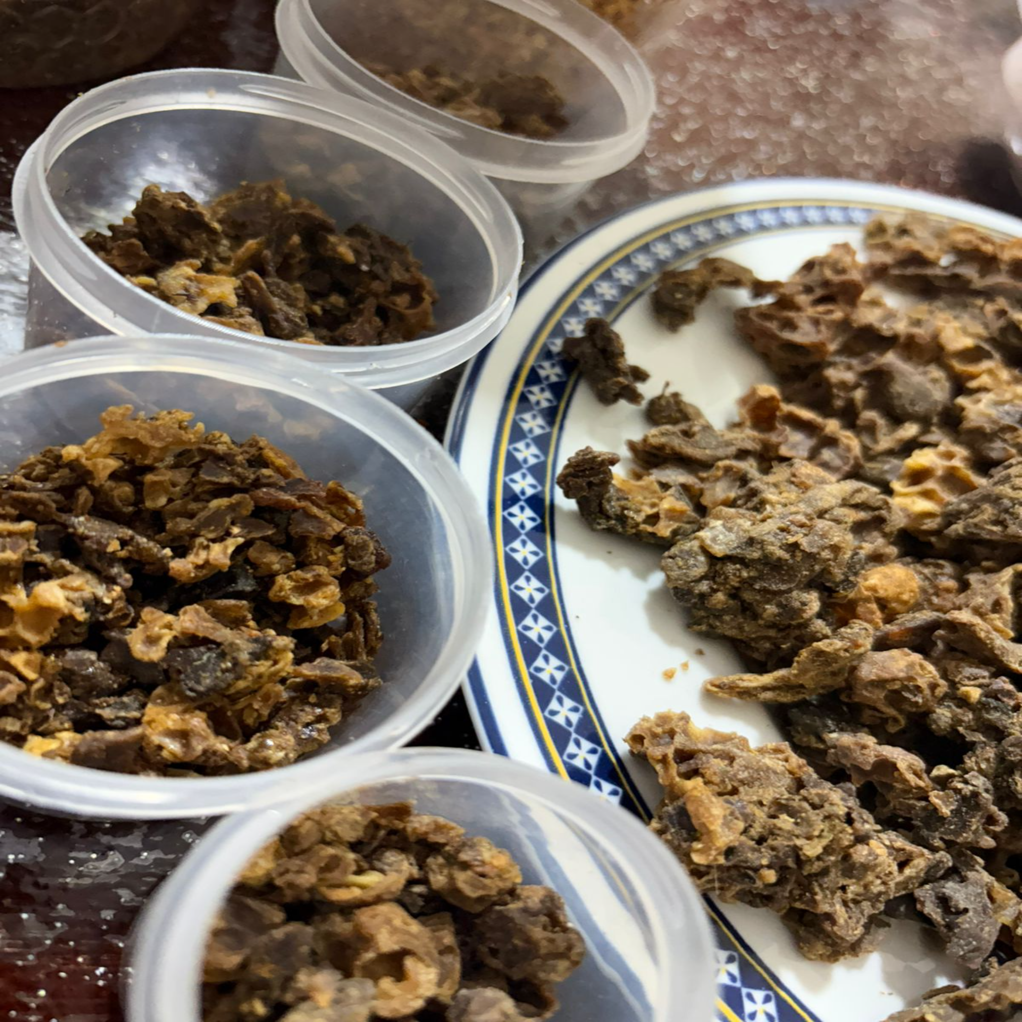 Propolis العكبر
