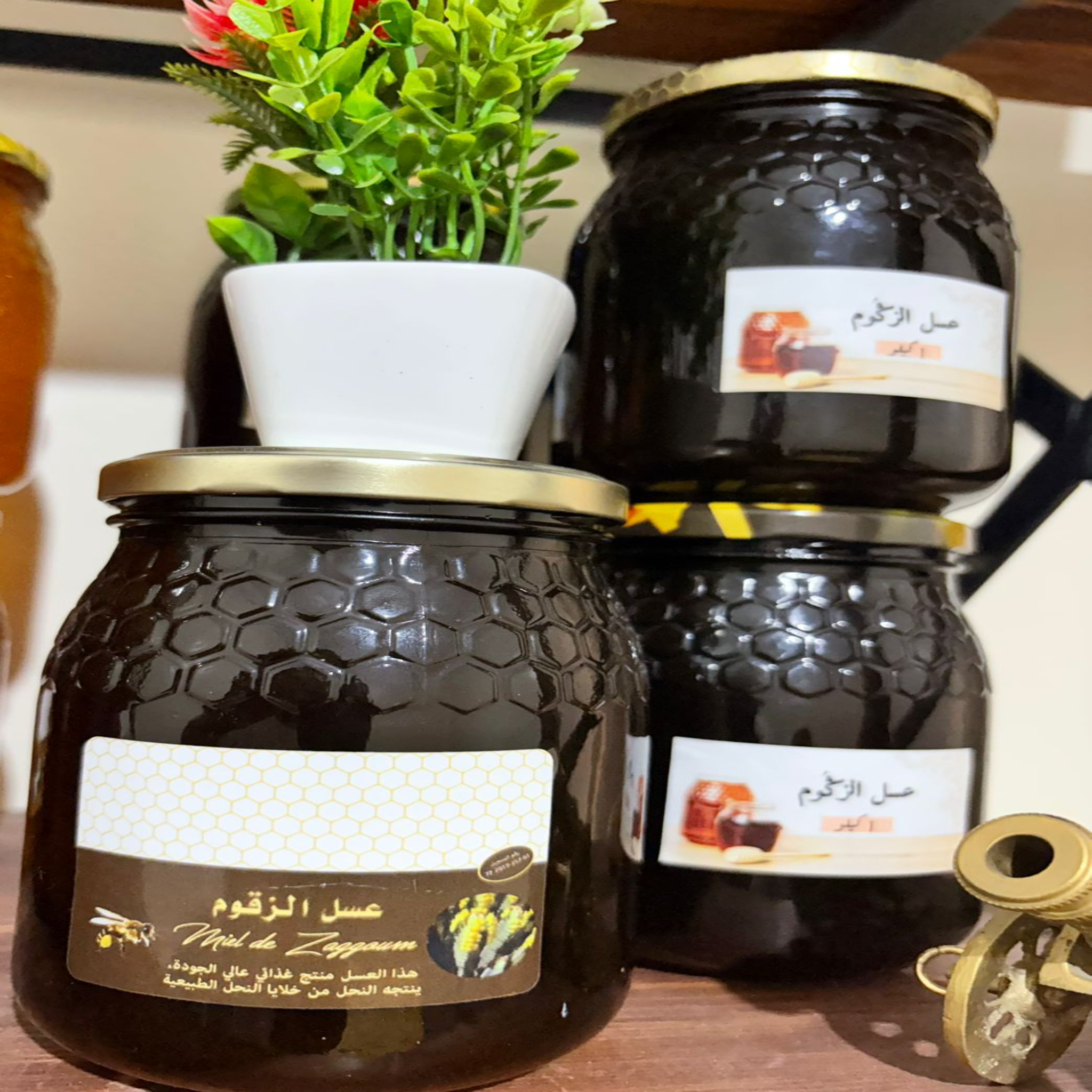 Miel de Zagoum عسل الزقوم